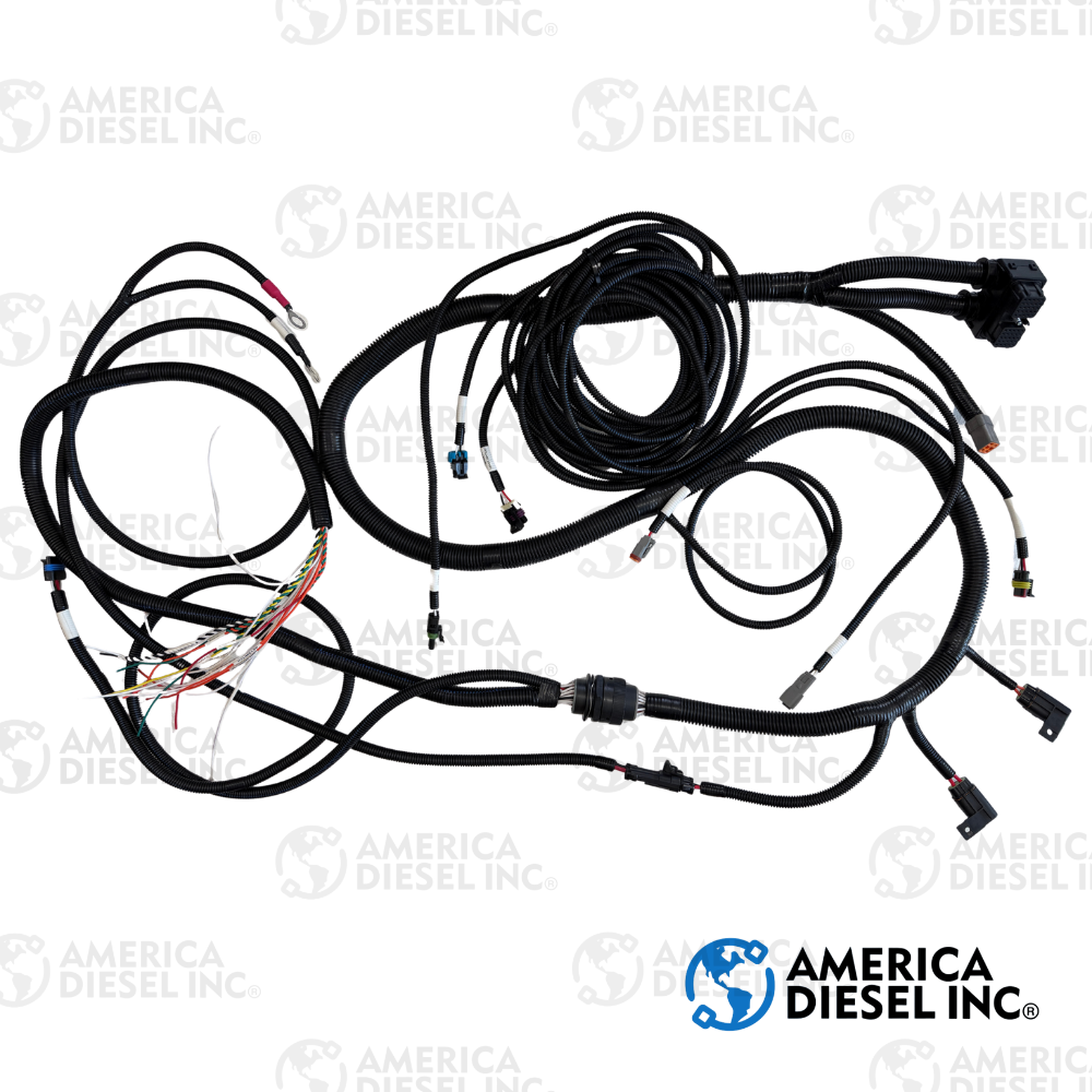 Custom Harness for Cummins ISX Engine